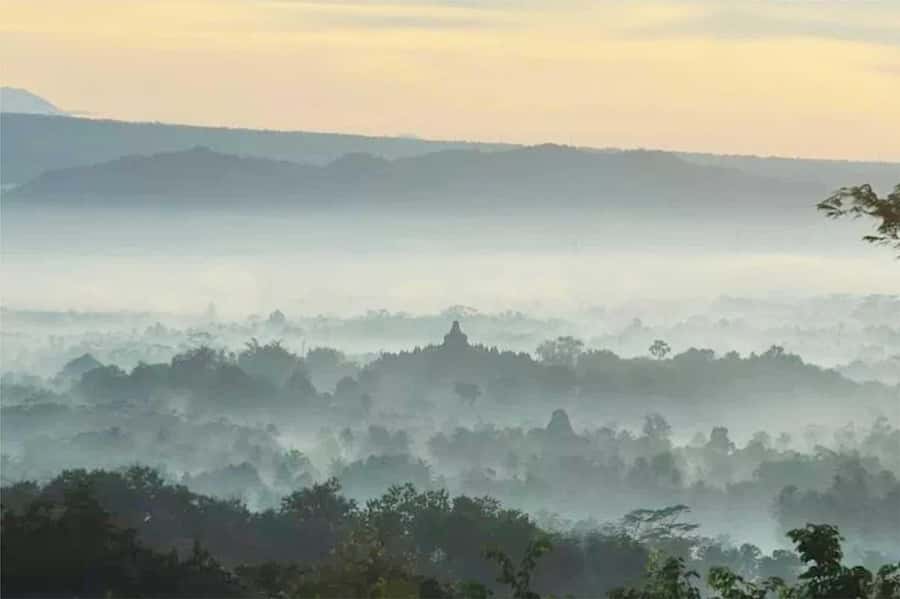 Borobudur Sunrise (Climb-up Guarantee) & Prambanan Day Tour - Borobudur Temple: guided flow plus “real” time to look