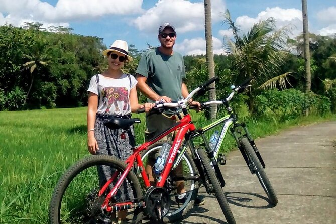 Cycling Tour in Yogyakarta with Lunch 3-Hour - Yogyakarta Rice Roads: Why This Ride Feels Different