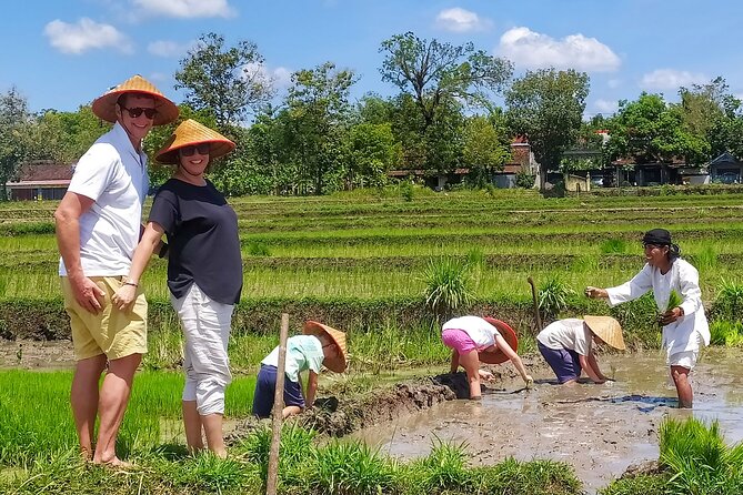 Cycling Tour in Yogyakarta with Lunch 3-Hour - Pickup, Bikes, and a 15-Person Max: Getting Started Smoothly