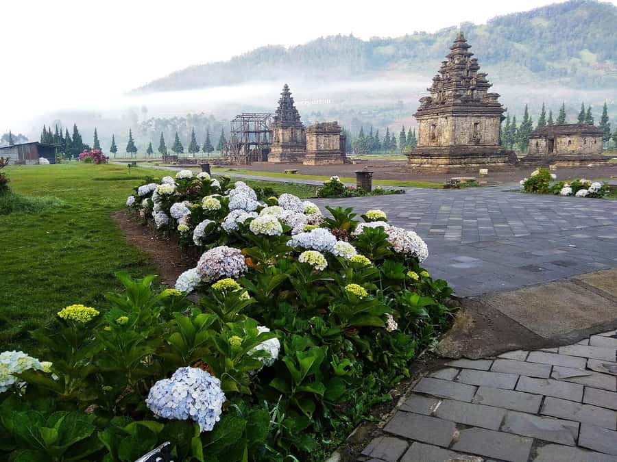 from Yogyakarta: Dieng, Dawn's Embrace & Cultural Treasures - FAQ