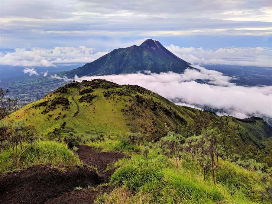 From Yogyakarta: Mount Merbabu One Day Hiking Tour - The Climb Through Tropical Forest: Where the Effort Starts Paying Off