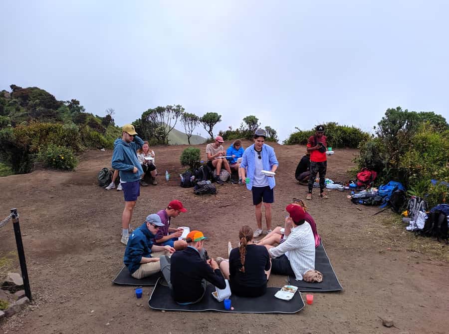 From Yogyakarta: Mount Merbabu One Day Hiking Tour - Post 4 to the Summit: The Savanna-to-Altitude Shift
