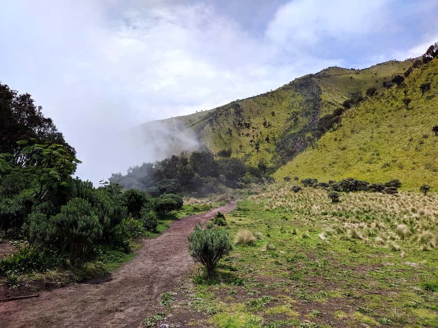 From Yogyakarta: Mount Merbabu One Day Hiking Tour - Price and Value: $61 Looks Low, Until You Add the Ticket
