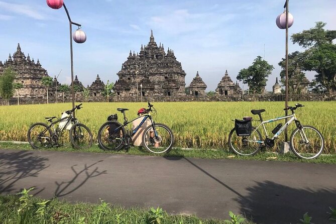 FUN Cycling Tour De Temples - A Private Tour Format That Keeps the Day Moving