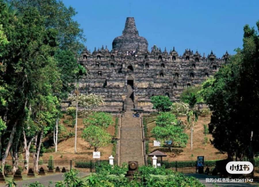 Guarantee Borobudur Structure, Sunrise Stumbu & Prambanan. - The real difference: English help and on-time local driving