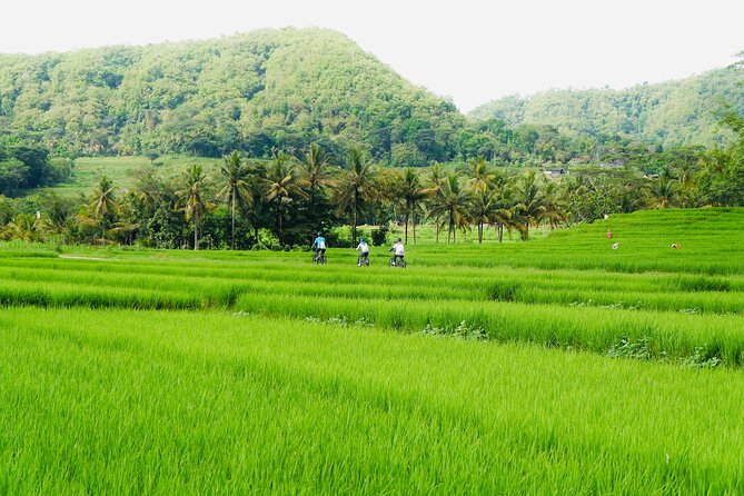 Menoreh Village Cycling - What makes Nanggulan cycling feel different (and worth $22)