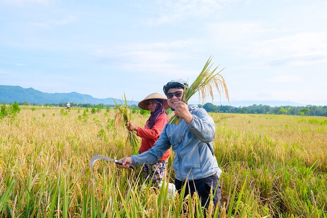 Menoreh Village Cycling - Rice fields, rivers, and Menoreh Hills: learning without a lecture
