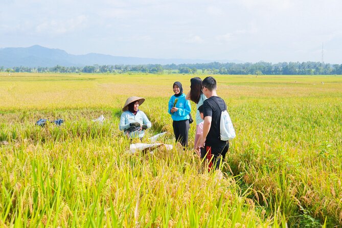 Menoreh Village Cycling - Food stops that explain the culture (tempe benguk and jamu)