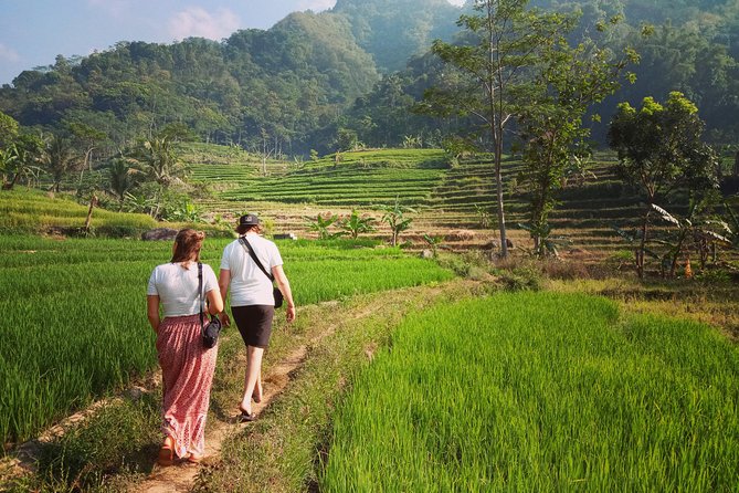 Rent car with speaking English driver in Yogyakarta - Timing Your Day: Best Ways to Use a 1 to 12 Hour Window