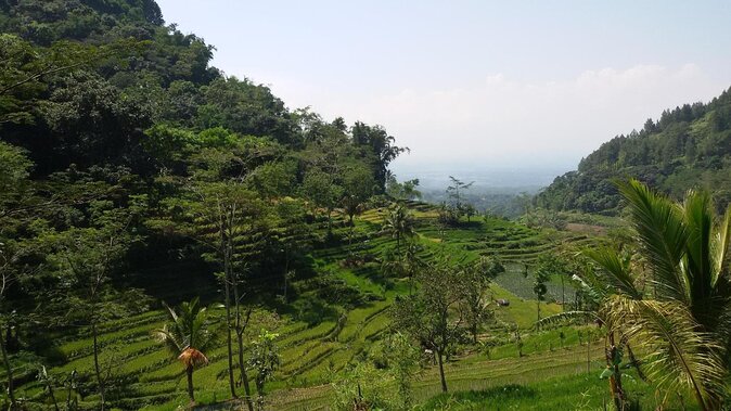 Selogriyo Temple and Trekking Java Rice Terraces, hidden waterfall -Nature Java - Key highlights I’d plan around