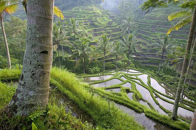 Selogriyo Temple and Trekking Java Rice Terraces, hidden waterfall -Nature Java - What to wear and pack (based on what actually works)