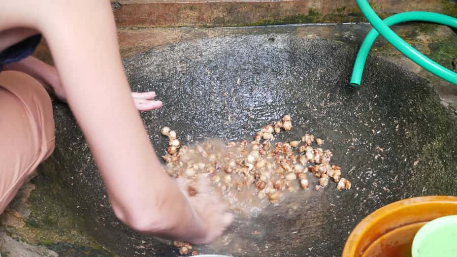 Yogakarta: Jamu Workshop with a Royal Healer’s Descendant - English-Led, Private Group, 3 Hours of Real Focus