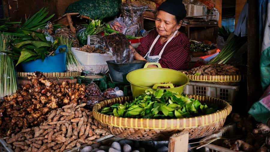 Yogakarta: Jamu Workshop with a Royal Healer’s Descendant - Choosing Fresh Herbs at a Local Market