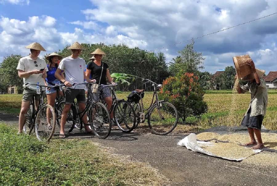 Yogyakarta: Countryside Village Cycling Tour With Guide - Traditional village time: where everyday work becomes the highlight