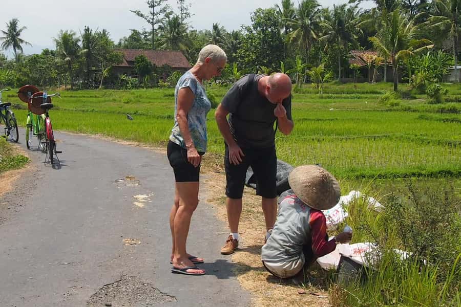 Yogyakarta: Countryside Village Cycling Tour With Guide - Learning tempeh: soybeans, banana leaves, and real fermentation work