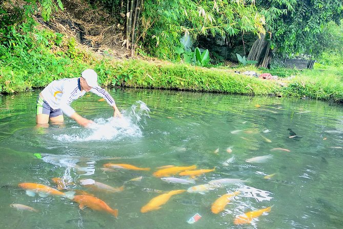 Yogyakarta Cycling Tour Around the Villages and Fish Farm - Stop 2: Sendang SOMBOMERTI and Fish Therapy Lunch