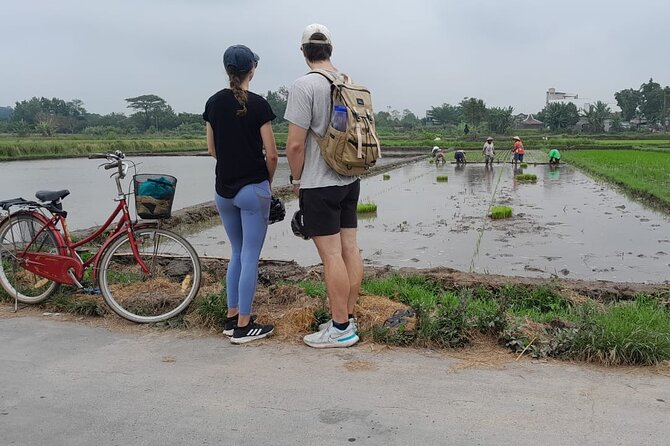 Yogyakarta Cycling Tour Around the Villages and Fish Farm - What’s Actually Included (And How It Helps During the Ride)