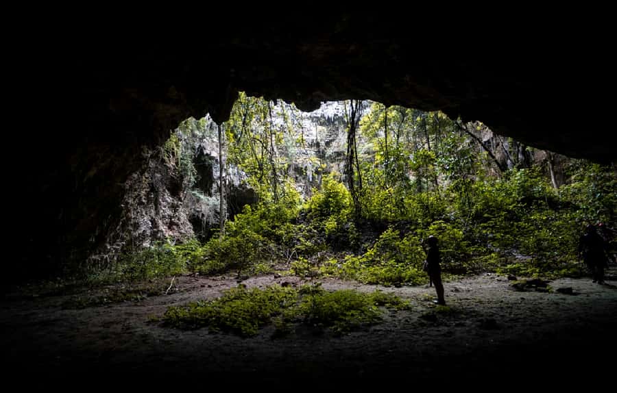 Yogyakarta: Jomblang and Pindul Cave Tour with Drone Shot - The Jomblang Descent: Harness Work, Muddy Trails, and That Cave Interior