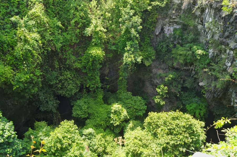 Yogyakarta: Jomblang Cave and Pindul Cave Tour - Price and logistics: what $17 covers, and what doesn’t