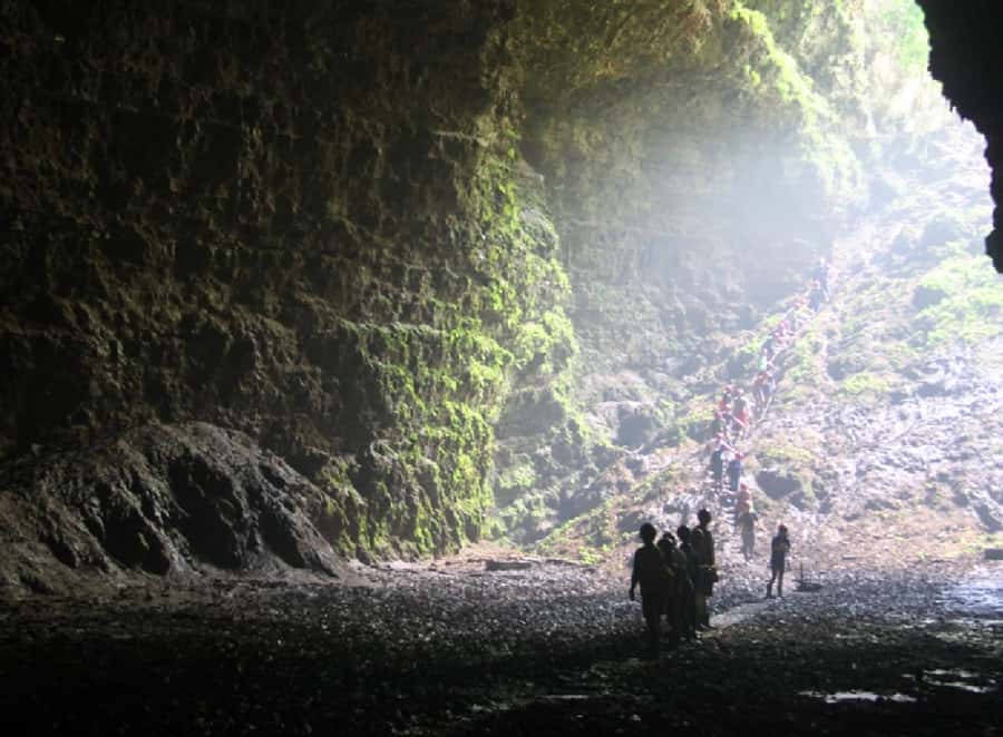 Yogyakarta: Jomblang & Pindul Cave Guided Adventure - Transport and Tour Flow from Yogyakarta: Smooth and Long Enough to Feel Full
