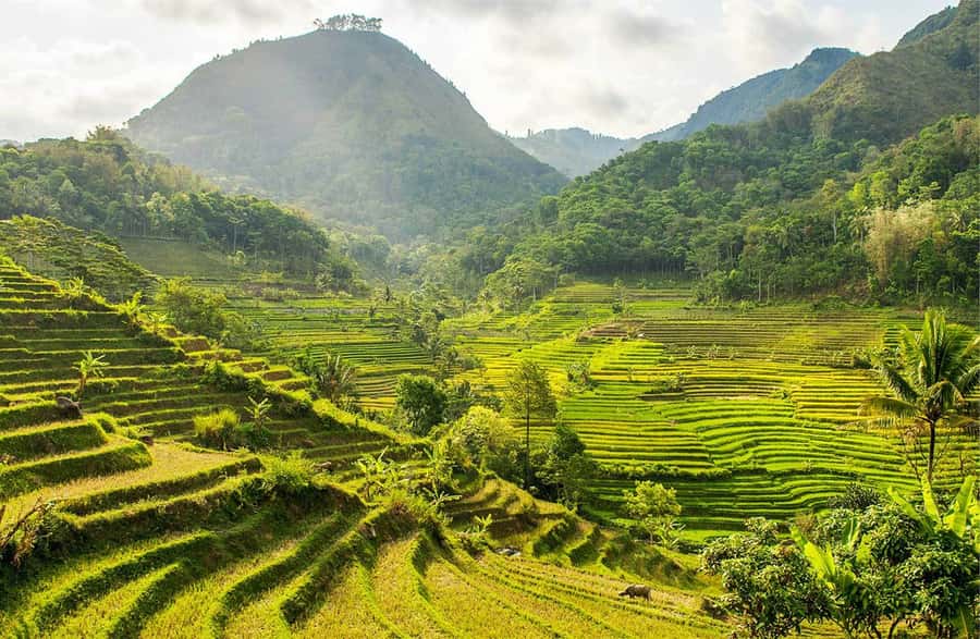Yogyakarta: Private Customizable Guided Tour - How this private tour design makes Yogyakarta easier
