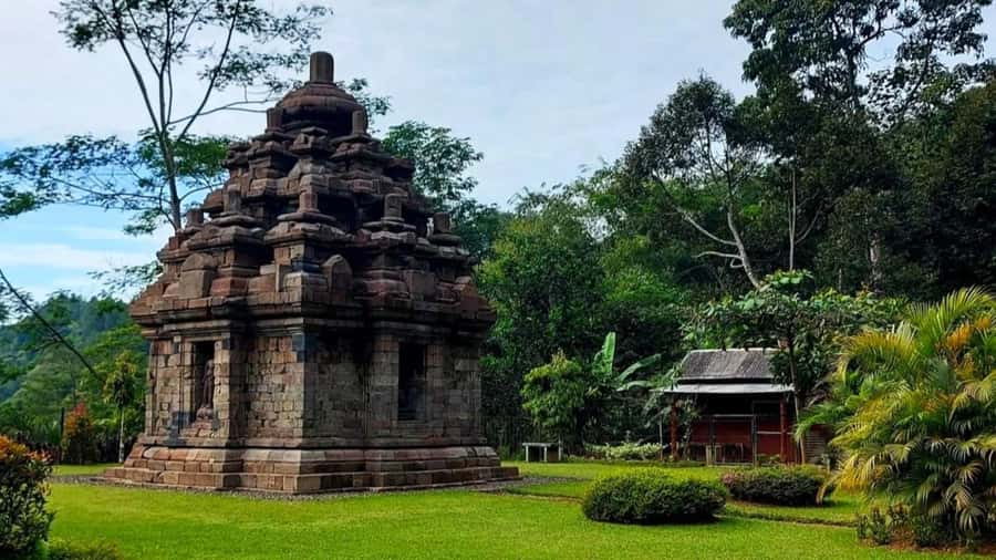 Yogyakarta: Selogriyo Temple and Rice Terrace Soft Trekking - Who this tour suits best
