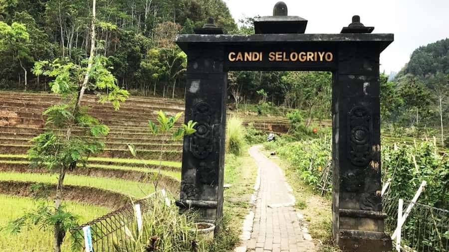 Yogyakarta: Selogriyo Temple and Rice Terrace Soft Trekking - What’s included (and why that keeps the day good value)