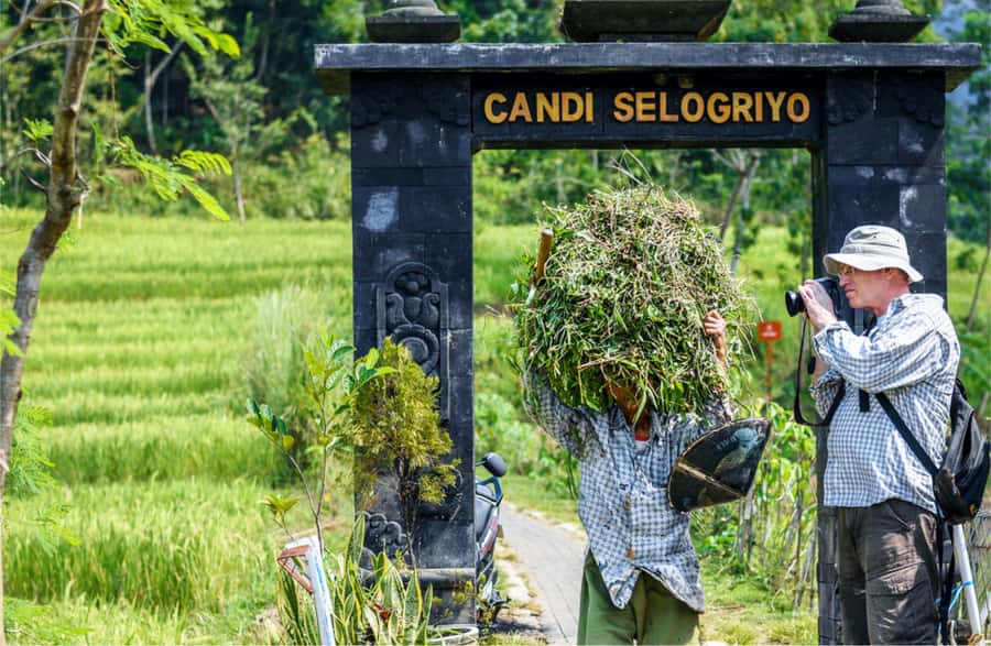 Yogyakarta: Selogriyo Temple Tour & Java Rice Terrace Trek - How the best guides turn crops and temples into stories