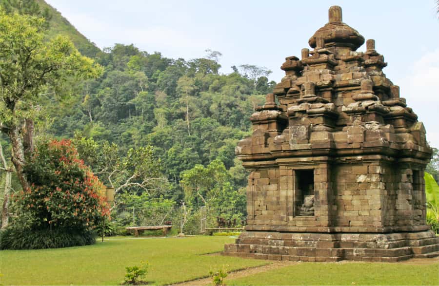 Yogyakarta: Selogriyo Temple Tour & Java Rice Terrace Trek - Who this tour is best for (and who should choose something else)