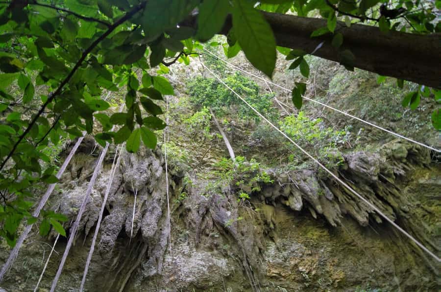 Yogyakarta: The Jomblang Cave adventure all inclusive tour - What to bring for near-60m rappelling and muddy footing