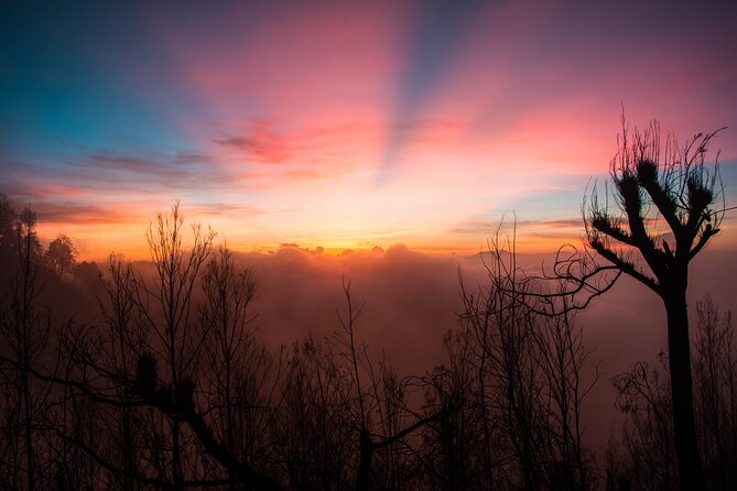 Yogyakarta to Bali 3 Days Bromo And Ijen ALL IN PRIVATE Tour - Day 1: Yogyakarta to Cemoro Lawang, Then Sleep Before Bromo