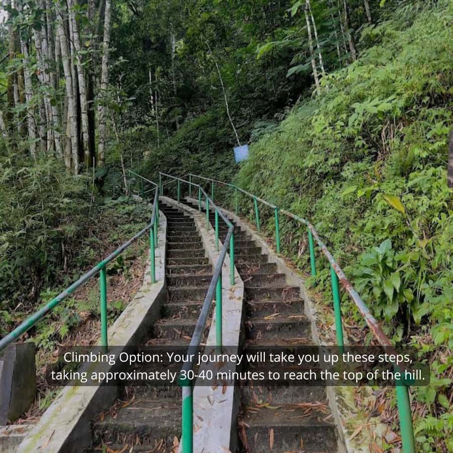 Yogyakarta Volcano: Merapi Volcano on Hilltop (Lava Viewing) - Price and Value: Is $23 Worth It?
